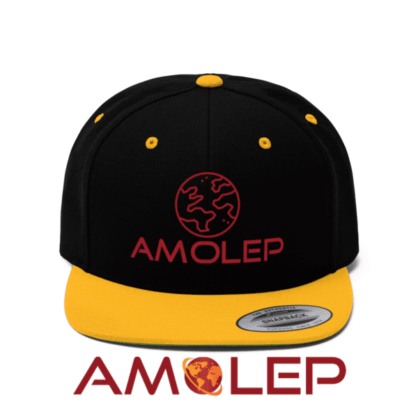 Amolep Unisex Flat Bill Hat